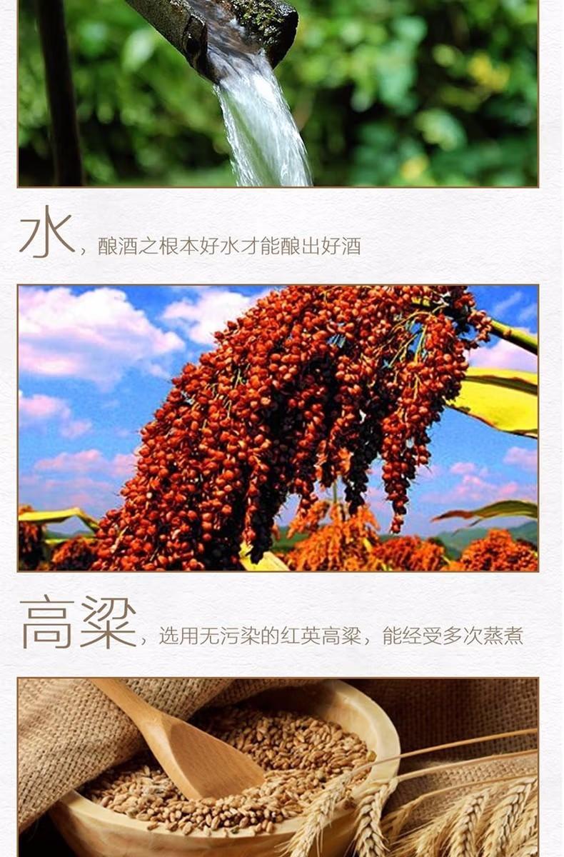 五粮液股份 一尊天下经典浓香型52度粮食酒 礼盒装 500ml*6瓶/ 2瓶