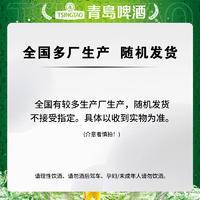 青岛啤酒（TsingTao）清爽8度500ml*24听 整箱装 露营出游