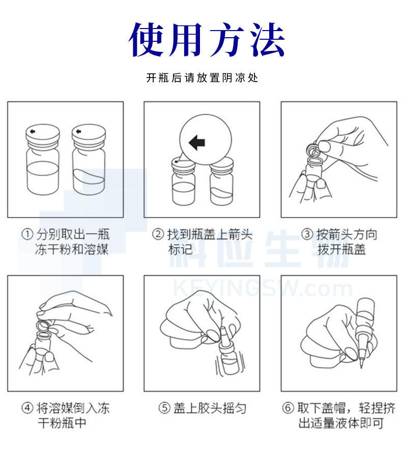 HEAIQI琦憶-灵芝紧致抗皱冻干粉套组