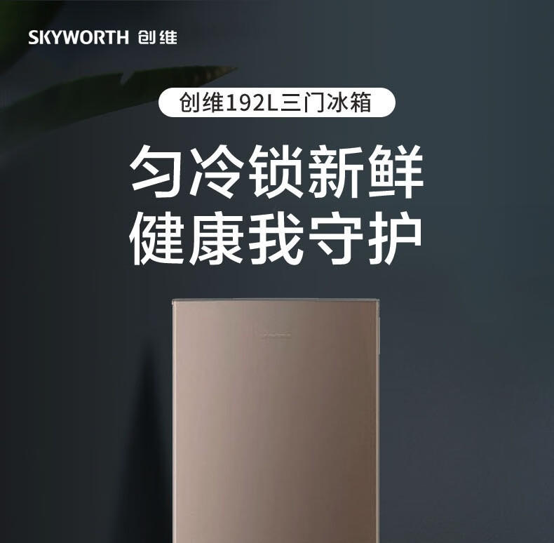 创维（Skyworth）BCD-192T典雅棕冰箱