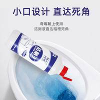 ZYQ-363972竹叶情洁厕王500g