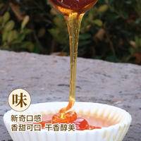 【拍一发二】逄山枣花蜜瓶装500g*2