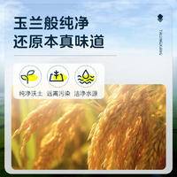 泰金香 金泰湄南 湄南香米 长粒大米 籼米 大米5kg