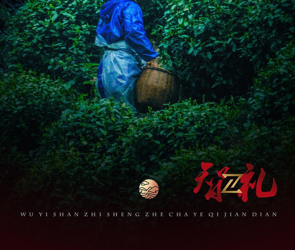 武夷智圣者新智礼四大组合茶2