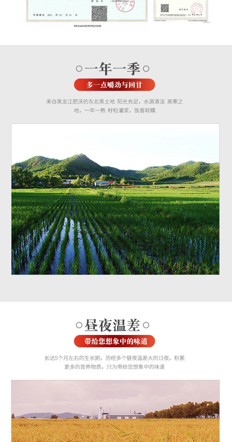 掌中禾 五常糯米东北圆粒粳米5斤