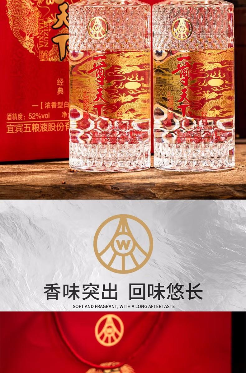 五粮液股份 一尊天下经典浓香型52度粮食酒 礼盒装 500ml*6瓶/ 2瓶